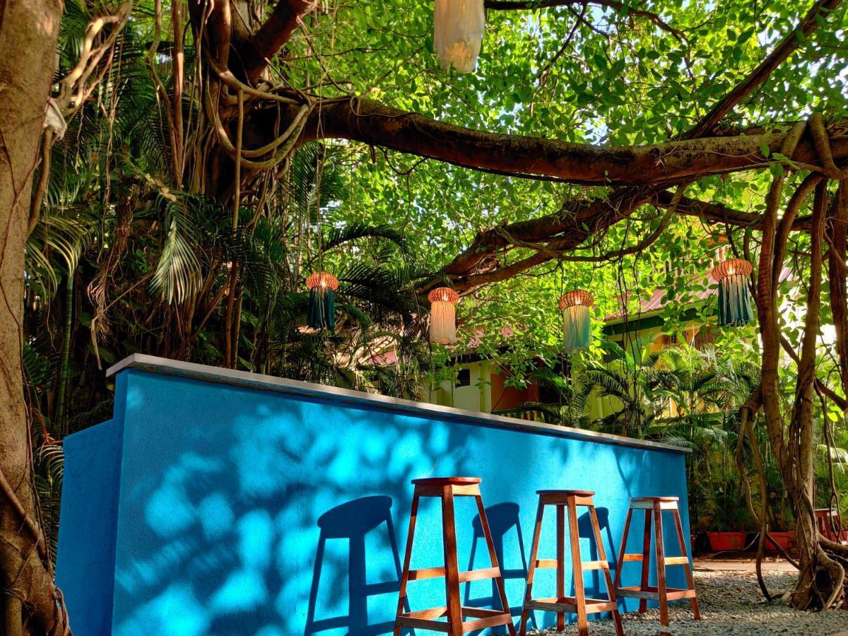 Piggy Calangute By Urban Nomads - Dorms & Pvt Rooms GOA Dış mekan fotoğraf