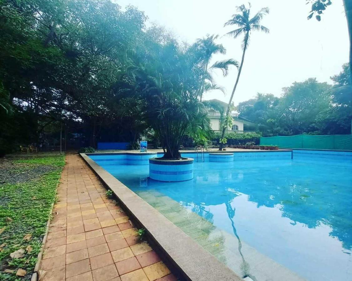 Piggy Calangute By Urban Nomads - Dorms & Pvt Rooms GOA Dış mekan fotoğraf